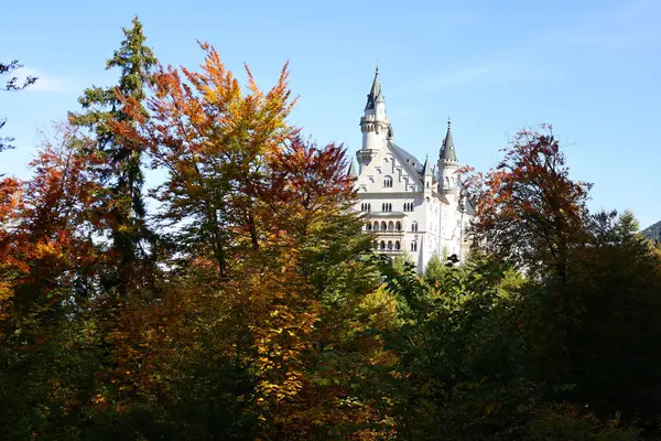 Neuschwanstein Şatosu, Almanya 'nın güneyinde Alplerin eteklerinde engebeli bir tepenin üzerinde 19. yüzyıldan kalma tarihçi bir saraydır.