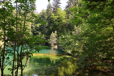 Blausee, Bernese Oberland, Kandergrund, İsviçre 'de bulunan bir göldür..