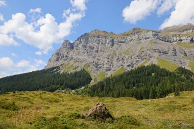 İsviçre 'deki Bern kantonundaki bir dağa bak..