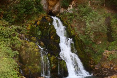 Haute-Savoie 'deki bir şelaleye bak