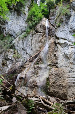 Haute-Savoie 'deki bir şelaleye bak