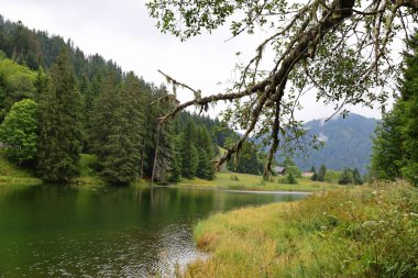 Haute-Savoie Bölümü 'nde bir göl manzarası