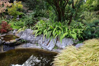 Cenevre 'nin bir müzesi ve Cenevre şehrinin bir kurumu olan Cenevre şehrinin konservatuarındaki bitkilere ve botanik bahçesine bakın..