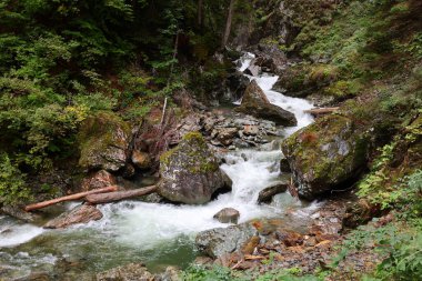 Dosyanın geçitleri, Annecy 'nin birkaç kilometre batısındaki, Haute-Savoie' deki Lovagny kasabasındaki Fier 'ın güçlü seli tarafından oyuldu.