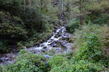 İsviçre Konfederasyonu 'nu oluşturan 26 kantondan biri olan Valais Kantonu' ndaki bir şelaleye bakın.