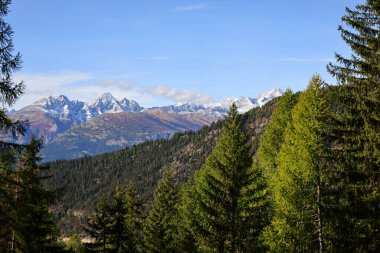 Simplon Geçidi İsviçre 'de Pennine Alpleri ile Lepontine Alpleri arasında yüksek bir dağ geçididir.