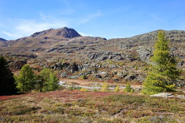 Simplon Geçidi İsviçre 'de Pennine Alpleri ile Lepontine Alpleri arasında yüksek bir dağ geçididir.