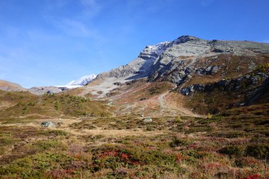 Grimsel Geçidi, İsviçre 'de, Bernese Alplerini 2.164 metre yükseklikte geçen bir dağ geçididir.
