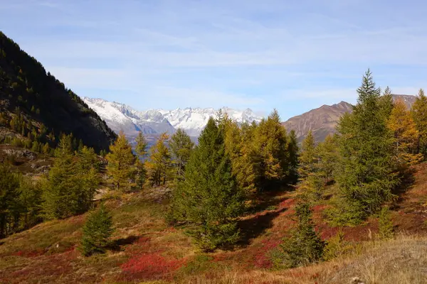 Simplon Geçidi İsviçre 'de Pennine Alpleri ile Lepontine Alpleri arasında yüksek bir dağ geçididir.