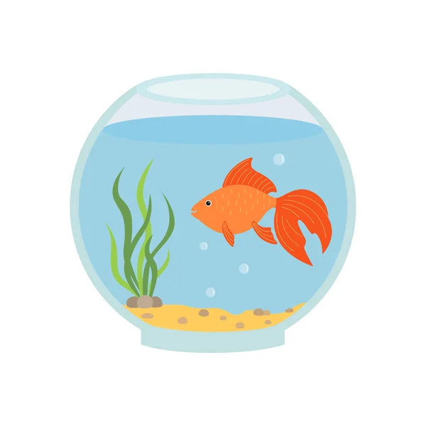 Kulaté akvárium se zlatou rybkou. Izolovaná vektorová ilustrace. — Stockový vektor