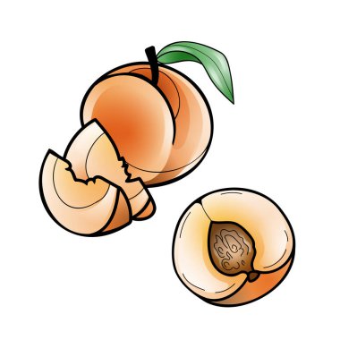 Tüm ve dilimlenmiş şeftalinin vektör çizimi, beyaz arkaplan ile parlak gradyan tasarımı.