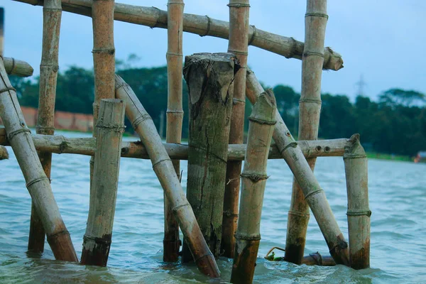 Hermoso Paisaje Secado Bambú Muerto Bajo Agua — Foto de Stock