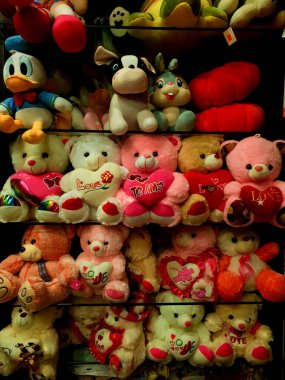 Farklı renkte oyuncak ayıların portreleri..