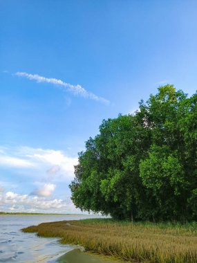 Bangladeş 'te güzel bir nehir manzarası.