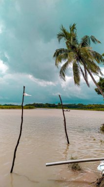 Bangladeş 'te güzel bir nehir manzarası.