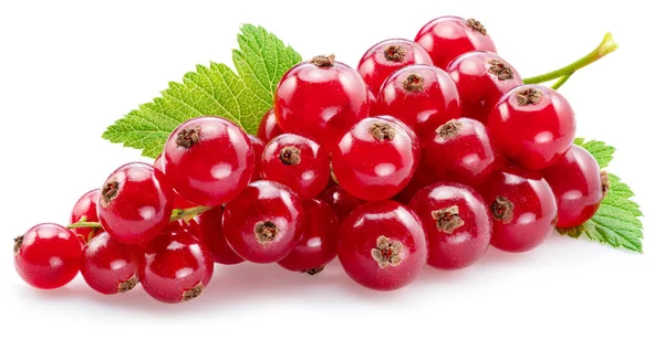 Ripe Redcurrant Berries White Background Close — Stock Photo, Image