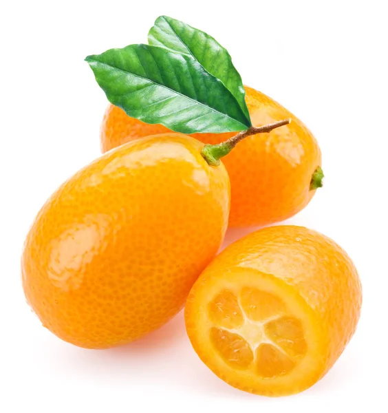 Kumquat Con Foglie Isolate Sfondo Bianco — Foto Stock