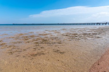 Kızıl Deniz 'de gelgit var. Sahilden fotoğraf.
