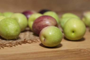 Zeytinyağı ve zeytinyağı. Yüksek kalite fotoğraf