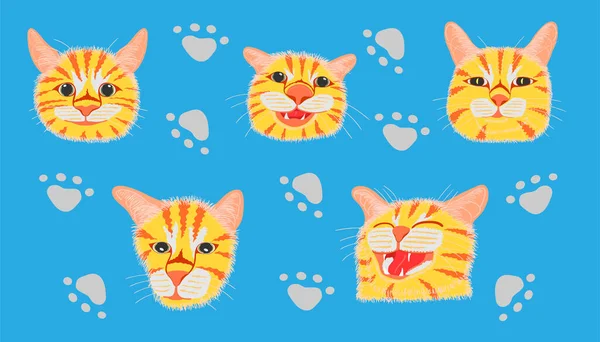 farklı elementler şirin kedi kafası ve ayak izi. Vektör illüstrasyon eps10