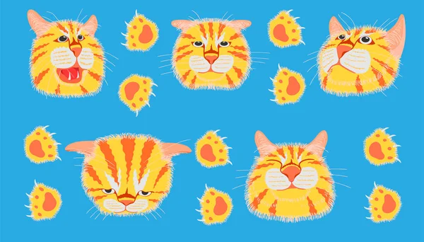 kedi kafasının farklı elementleri komik, sevimli duygular ve ayak izleri. Vektör illüstrasyon eps10