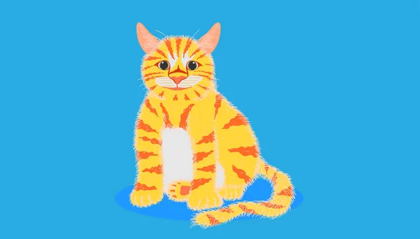 Gato Mirando Algo Sentado Pastel Fondo Color Azul Ilustración Vectorial — Vector de stock