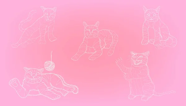 Szkic Linii Różnych Elementów Działania Cute Cat Ilustracja Wektorowa Eps10 — Wektor stockowy