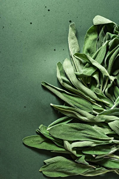 Hintergrund Sind Frische Salbeiblätter Oder Salvia Officinalis Verwendung Von Heilkräutern — Stockfoto