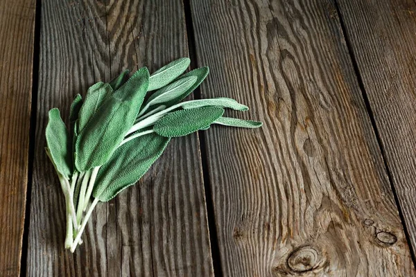 Frische Salbeiblätter Oder Salvia Officinalis Auf Einem Hölzernen Hintergrund Verwendung — Stockfoto