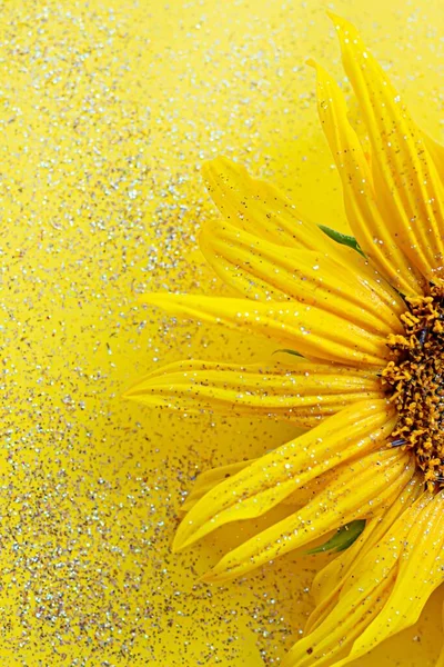 Flor Girasol Sobre Fondo Amarillo Con Destellos Enfoque Selectivo Fuera — Foto de Stock