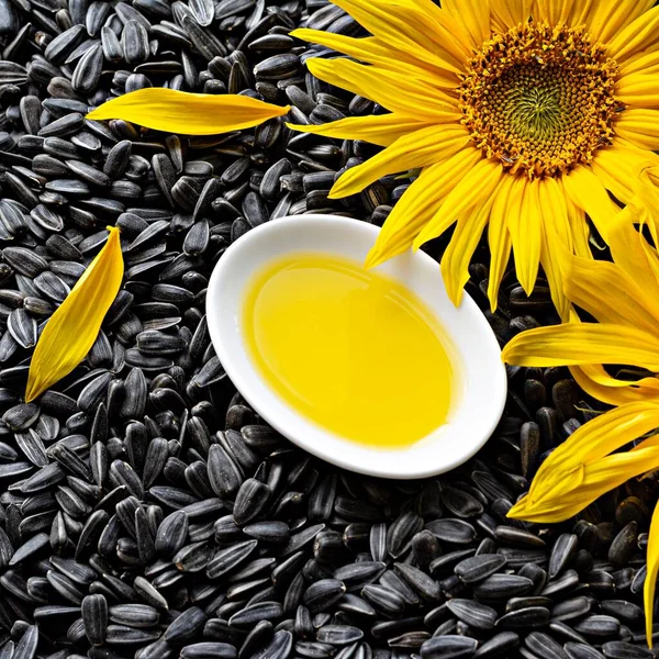 Fresh sunflower flower on a background of black seeds with a bowl of sunflower oil, vegetable oil by cold pressing. The concept of vegetable fats.