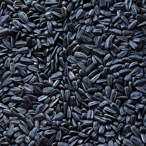Background in organic sunflower seeds, vegetable fats.