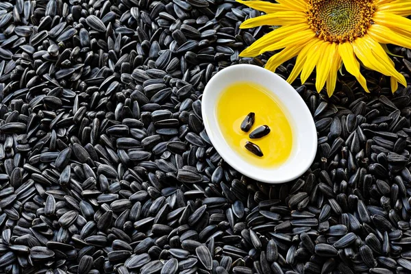 Fresh sunflower flower on a background of black seeds with a bowl of sunflower oil, vegetable oil by cold pressing. The concept of vegetable fats.