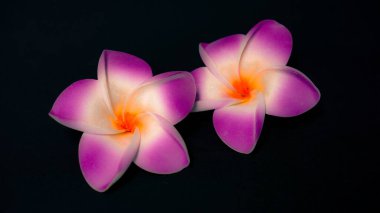 Boyanmış sentetik malzemeden yapılmış çiçek süslemesi. Hafif ve ince ama oldukça güzel.