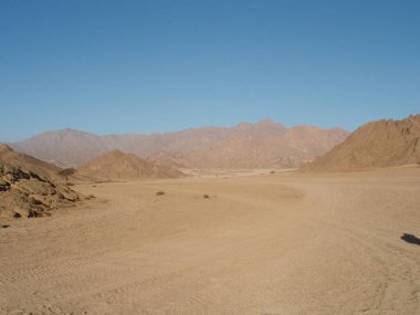 Kum taşından yapılmış renkli dağların arasındaki asfalt yolda tek hörgüçlü deve yol kenarında.
