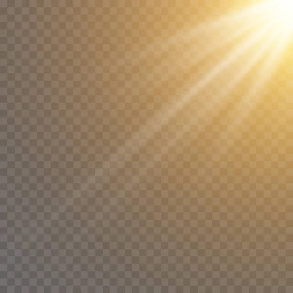 Heldere Zonnestralen Van Licht Lichtflits Een Transparante Achtergrond — Stockvector