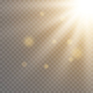 Parlak güneş ışınları, parlayan ışık, toz ve şeffaf bir arkaplanda yansıyan ışık.