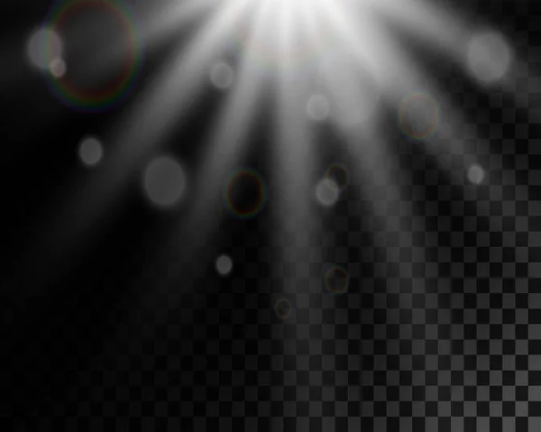 Spotlight Rays Light Star Flare Light Reflection Dust Transparent Background — Stock Vector