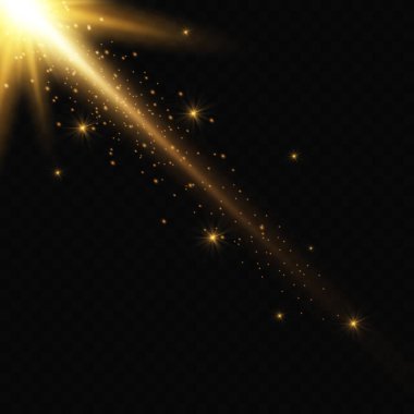 Golden bright star. Light effect bright star. Nice light to illustrate. Christmas star golden sparks sparkle with a special light. Vector sparkles on a transparent background.