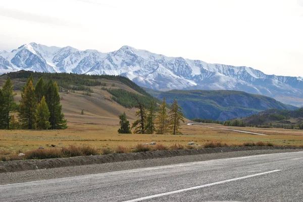 Altai Sonbaharda Chuisky Bölgesi Altai Cumhuriyeti Sonbaharda Altai Dağları Sonbahar — Stok fotoğraf