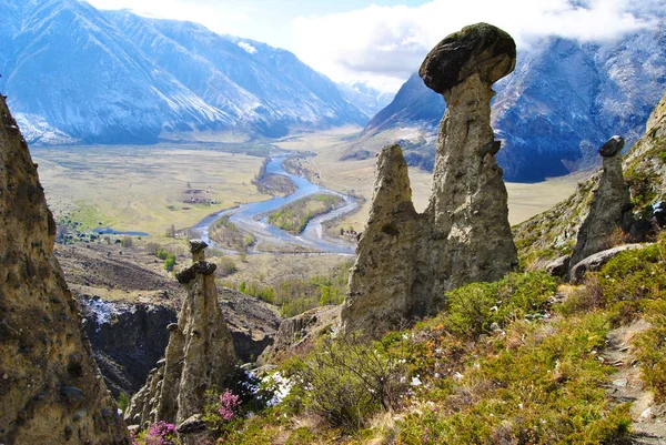 Cogumelos Pedra Vale Rio Chulyshman Altai Pedras Forma Cogumelos Montanhas Imagem De Stock