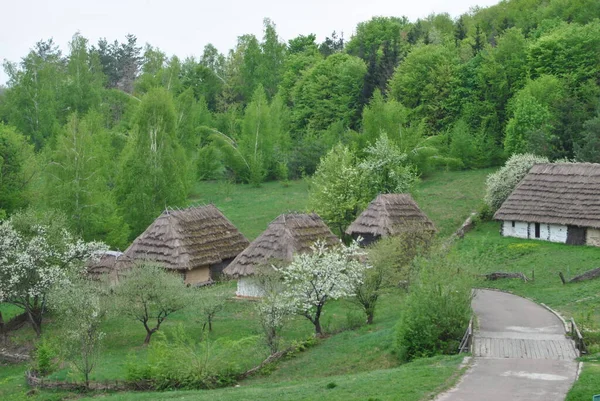 Ländliche Landschaft Der Ukraine Ukrainisches Dorf Volksarchitektur Der Ukraine Dorf — Stockfoto