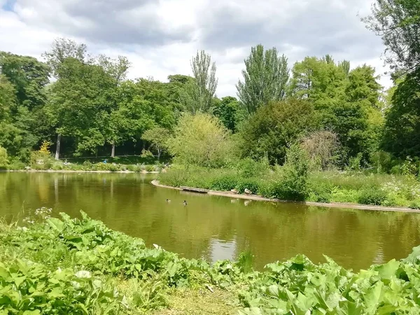Paris bölgesinde yeşil park ve gölet