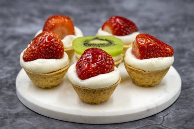 Karanlık bir arka planda nefis minik turtalar. Kapat.