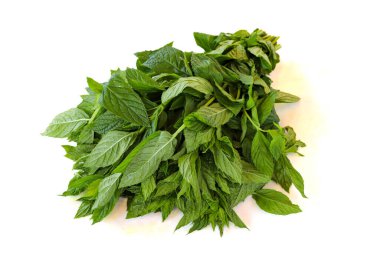 Beyazda izole edilmiş nane. Darphane yakın çekim. organik gıda