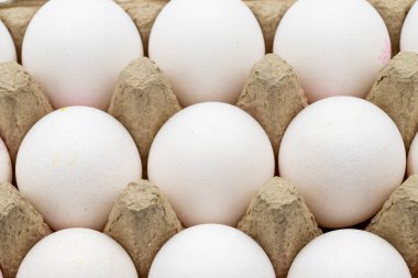 Beyaz arka planda karton yumurta. Yakın plan beyaz yumurta. yatay görünüm