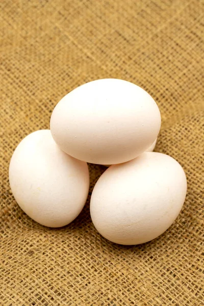 Κουτί Αυγών Ύφασμα Από Γιούτα Κοντινό Άσπρο Αυγό Κατακόρυφη Όψη — Φωτογραφία Αρχείου