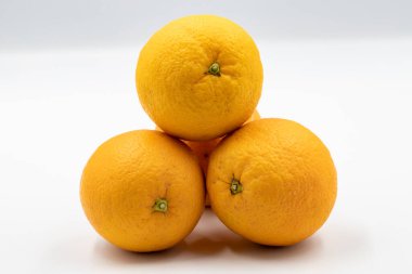 Beyaz arka planda turuncu. Olgun turuncu bir tonla birlikte. Yakın plan.