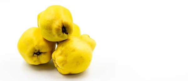 Quince Vit Bakgrund Kombination Med Skuggan Mogen Kvitten Töm Utrymmet — Stockfoto