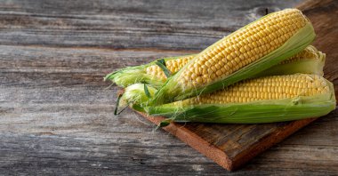 Tahta arka planda taze mısır. Boşluğu kopyala